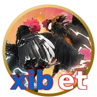xibet