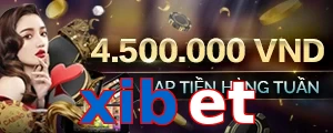 xibet